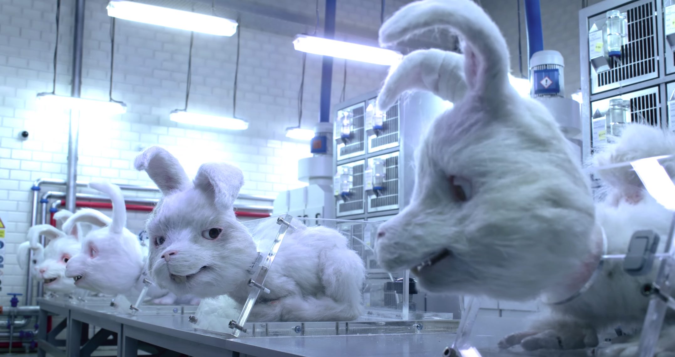 Are your cosmetics crueltyfree? Powerful animated short film shows